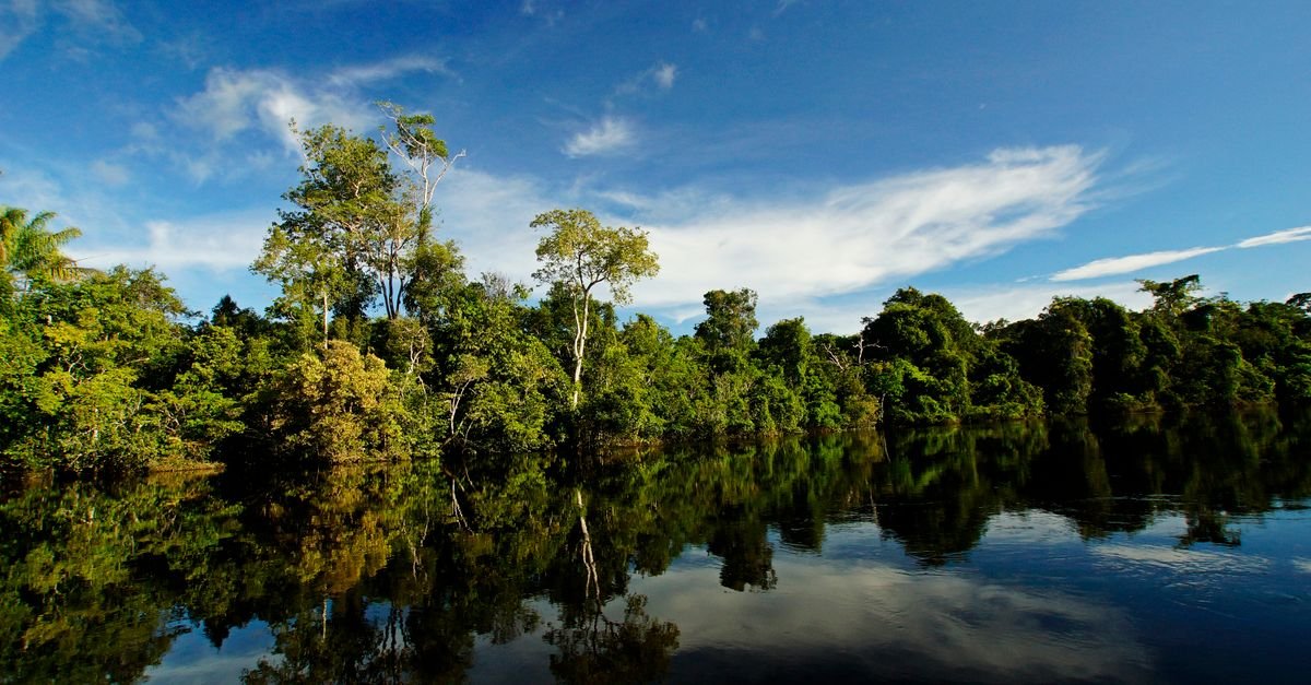 Peaceful scene of a lush river landscape in Alta Floresta, Brazil, with lush trees reflecting on the water.