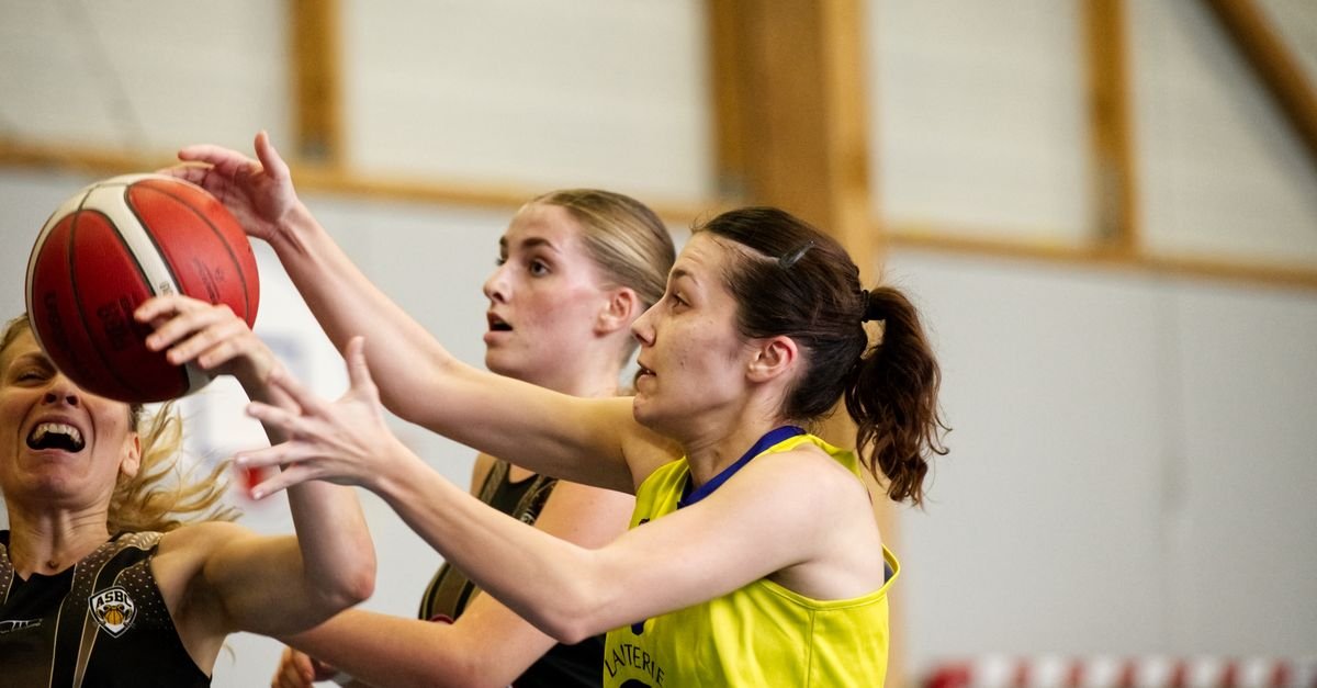 Close-up of women basketball players in a competitive game, reaching for a ball indoors.