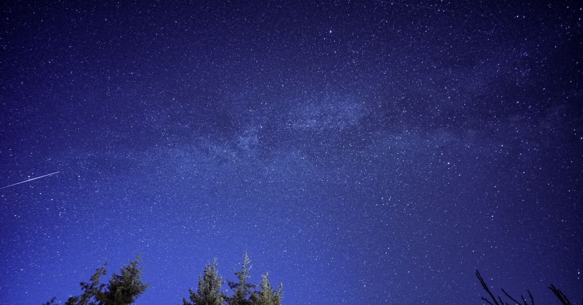Starry night sky with a shooting star visible above a forest silhouette.